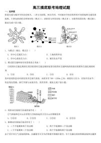 河北省衡水市2023年高三摸底联考地理试题【含答案】