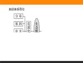 2.2生态脆弱区的综合治理课件PPT