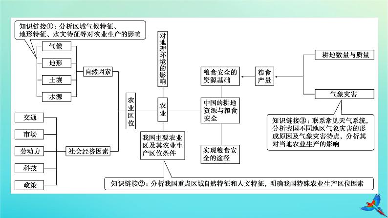 2023新教材高考地理二轮专题复习 专题七 农业区位与粮食安全课件第4页