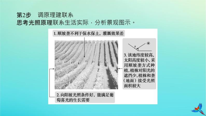 2023新教材高考地理二轮专题复习 专题十三 综合题满分技法突破 题型三 对比分析类综合题课件06