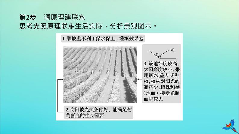 2023新教材高考地理二轮专题复习 专题十三 综合题满分技法突破 题型三 对比分析类综合题课件06