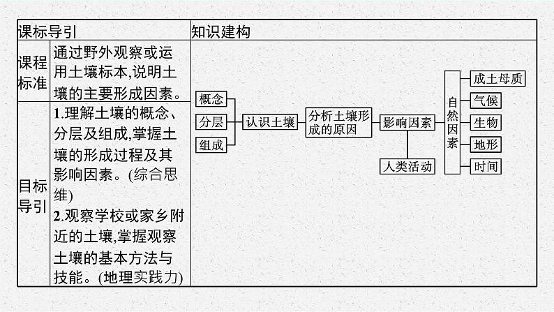 第三单元　从圈层作用看地貌与土壤 第四节　分析土壤形成的原因课件PPT03