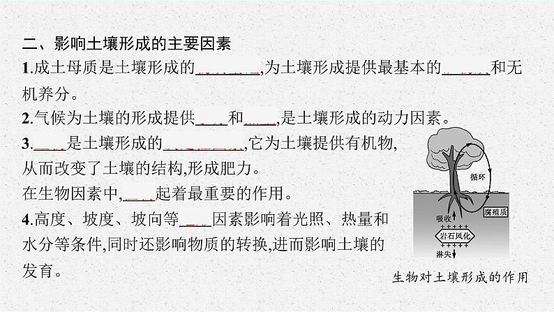 第三单元　从圈层作用看地貌与土壤 第四节　分析土壤形成的原因课件PPT07