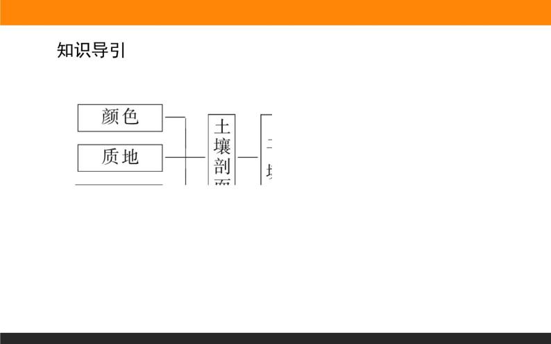 5.2土壤的形成课件PPT03