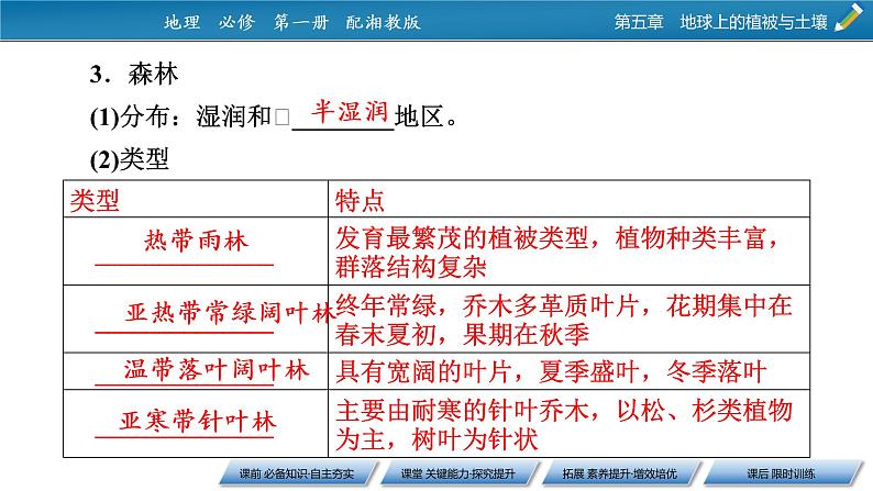 第5章 第1节主要植被与自然环境课件PPT第7页