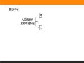 5.1人类面临的主要环境问题课件PPT