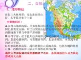 第十六课  北美洲课件PPT