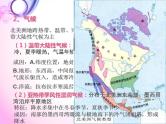 第十六课  北美洲课件PPT