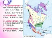 第十六课  北美洲课件PPT