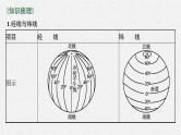 2022届高考地理(中图版)一轮复习课件第一章地球与地图第1讲经纬网与地图三要素