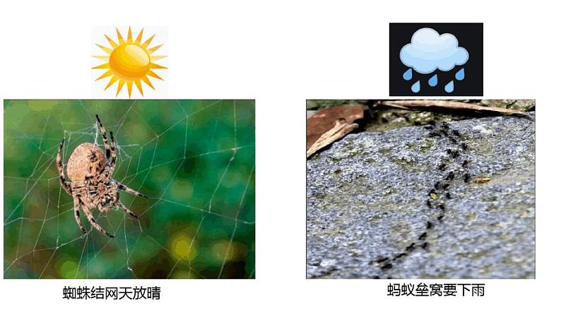 2020-2021学年人教版(2019)选择性必修一3.1常见天气系统课件03
