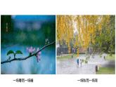 2020-2021学年人教版(2019)选择性必修一3.1常见天气系统课件