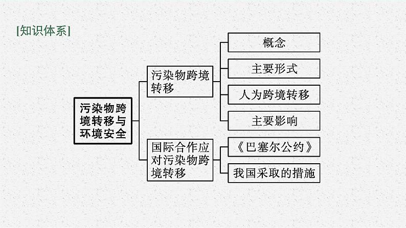 第三章 第三节　污染物跨境转移与环境安全课件PPT第4页