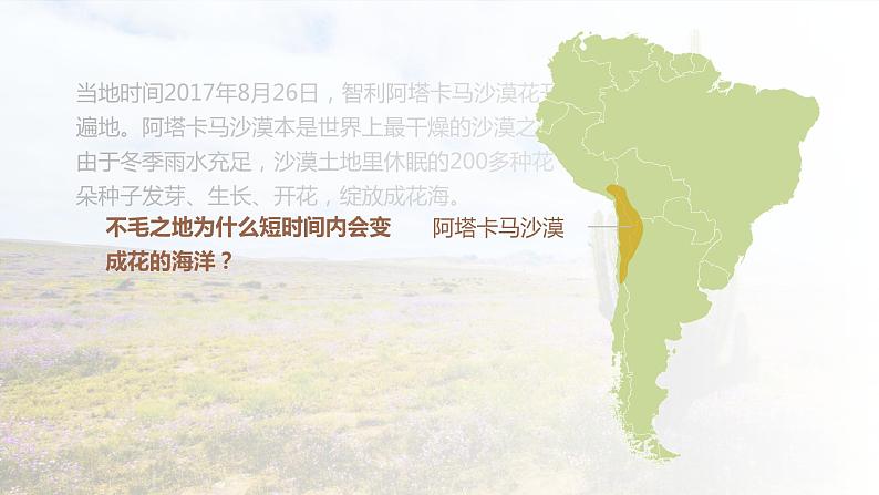 5.1 植被 课件 高一地理人教版（2019）必修第一册03