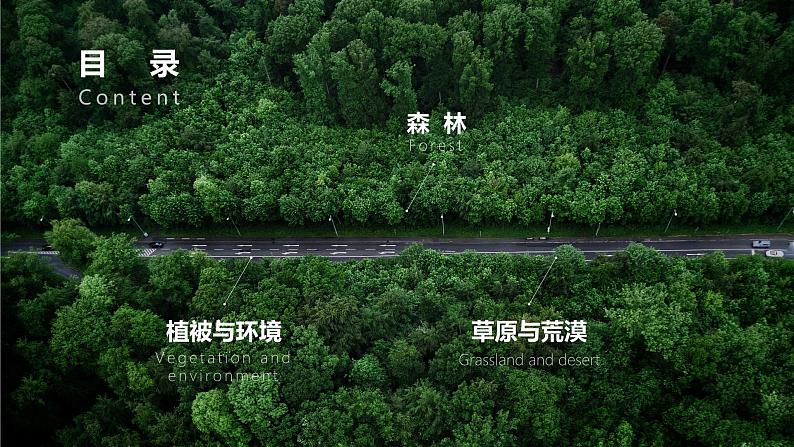 5.1 植被 课件 高一地理人教版（2019）必修第一册05