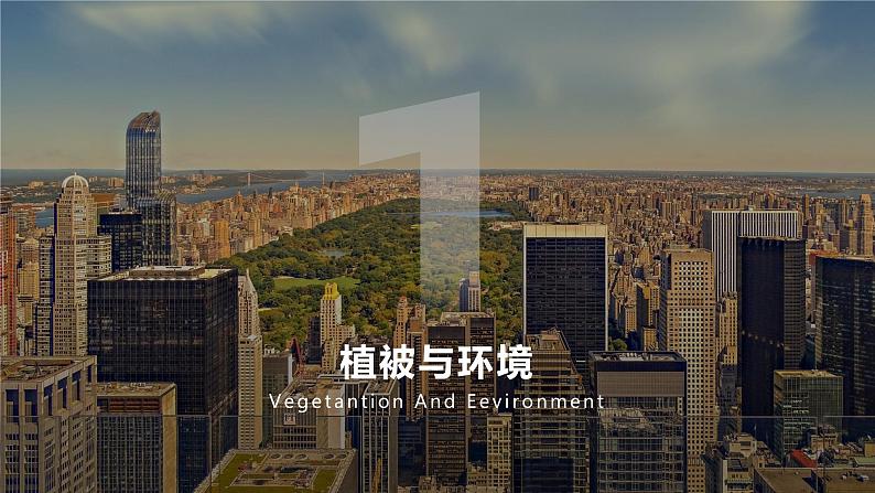 5.1 植被 课件 高一地理人教版（2019）必修第一册06