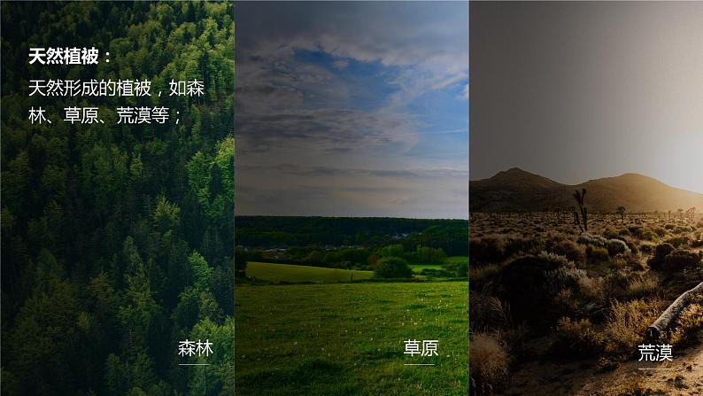 5.1 植被 课件 高一地理人教版（2019）必修第一册08