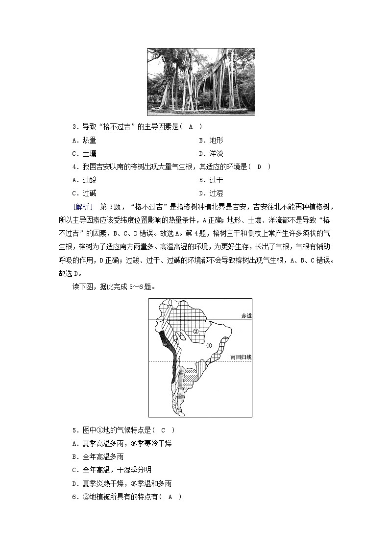 新教材2023年高中地理第5章植被与土壤第1节植被课时作业新人教版必修第一册第2页