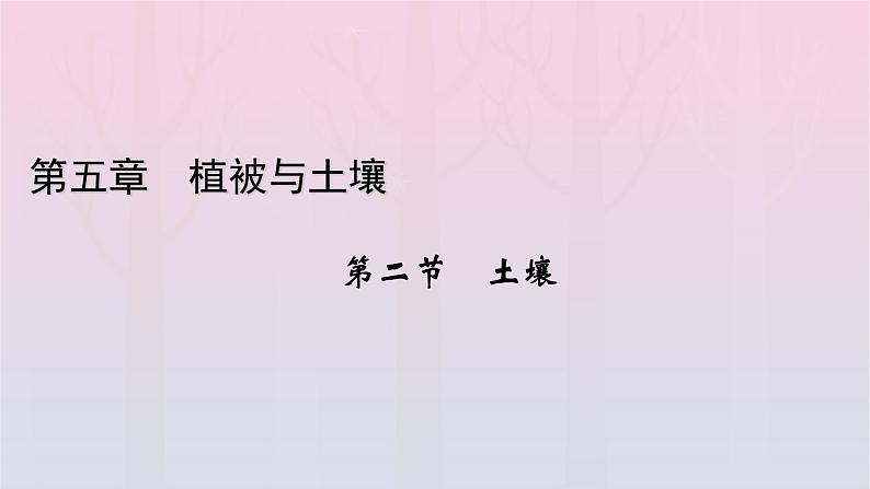 新教材2023年高中地理新人教版必修第一册第5章植被与土壤第2节土壤（课件+课时作业）01