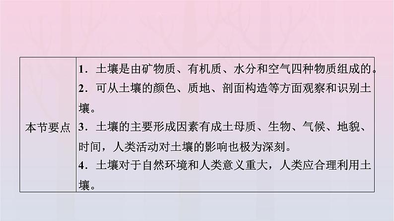 新教材2023年高中地理新人教版必修第一册第5章植被与土壤第2节土壤（课件+课时作业）03