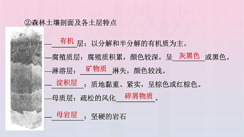 新教材2023年高中地理新人教版必修第一册第5章植被与土壤第2节土壤（课件+课时作业）08