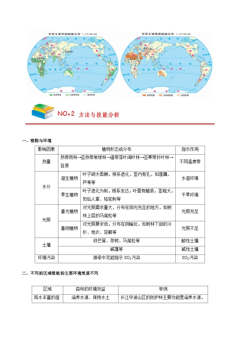 第五章 植被与土壤——【期末复习】高中地理全册单元知识点梳理（人教版2019必修第一册）03