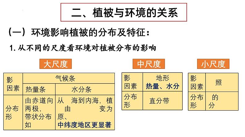 第18讲 植被和土壤（课件）-高考地理一轮复习讲练测（新教材新高考）第6页