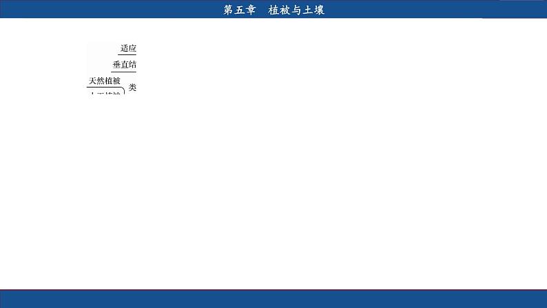 人教版地理必修一 第五章 植被与土壤（章末总结课件PPT）03