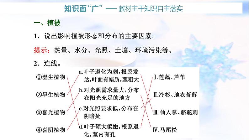 2024届高考地理一轮复习第七章植被、土壤与自然环境的整体性和差异性第一节植被和土壤教学课件03