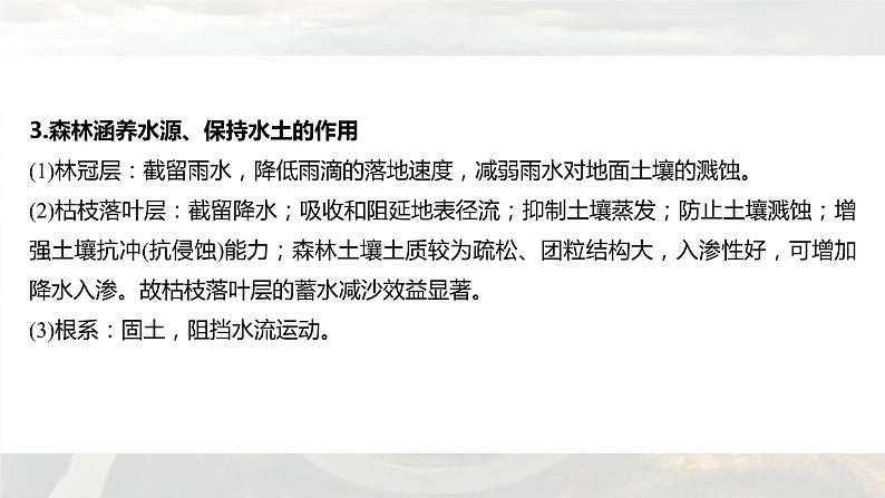 新高考版高考地理二轮复习（新高考版） 第1部分 专题突破 专题5 微专题9　植物与环境课件PPT第8页