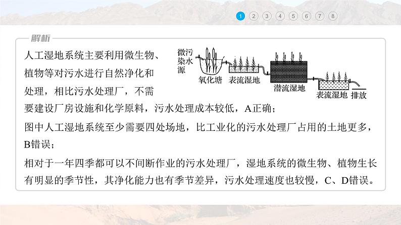 新高考版高考地理二轮复习（新高考版） 第1部分 专题突破 专题10 微专题18　湿地课件PPT07