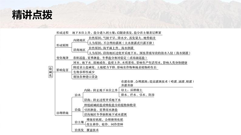 新高考版高考地理二轮复习（新高考版） 第1部分 专题突破 专题10 微专题19　盐碱化课件PPT05