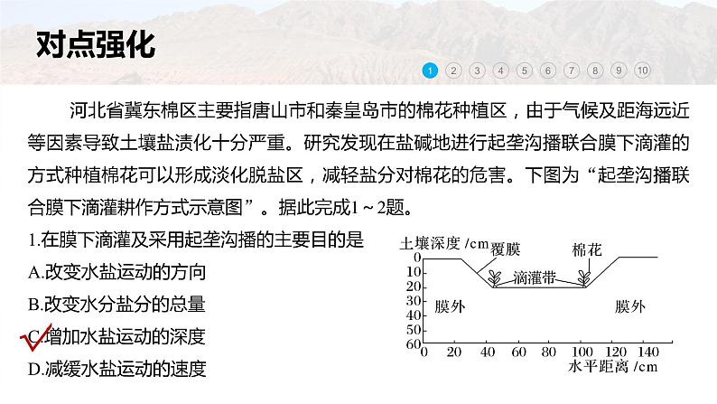 新高考版高考地理二轮复习（新高考版） 第1部分 专题突破 专题10 微专题19　盐碱化课件PPT06