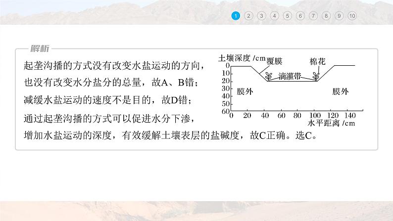 新高考版高考地理二轮复习（新高考版） 第1部分 专题突破 专题10 微专题19　盐碱化课件PPT07