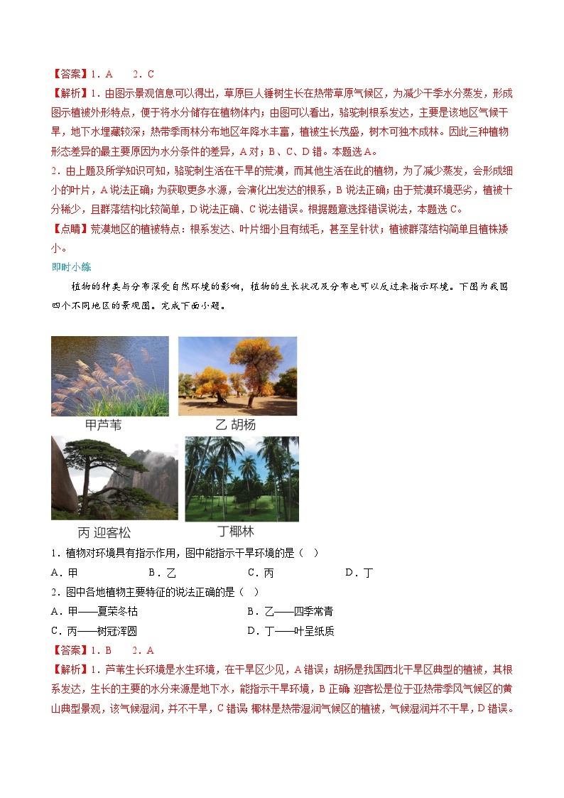 【暑假初升高】人教版地理九年级（升高一）暑假预习-（必修1）第13讲 植被  讲学案02