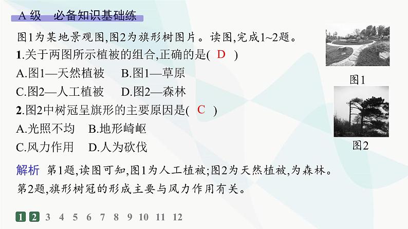 人教版高中地理必修第一册第5章植被与土壤第1节植被分层作业课件02