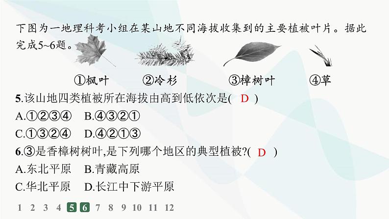 人教版高中地理必修第一册第5章植被与土壤第1节植被分层作业课件05