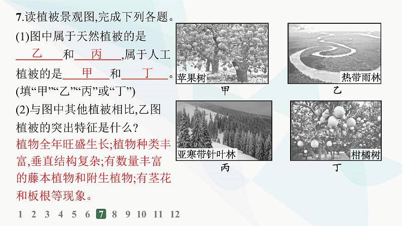 人教版高中地理必修第一册第5章植被与土壤第1节植被分层作业课件07