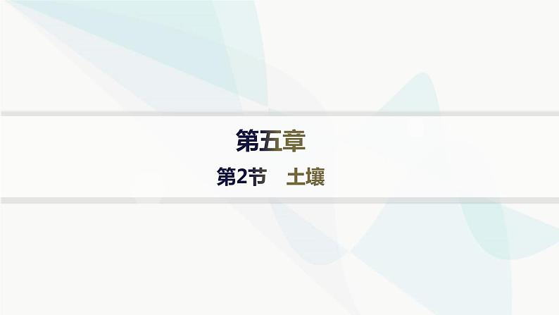 人教版高中地理必修第一册第5章植被与土壤第2节土壤分层作业课件01