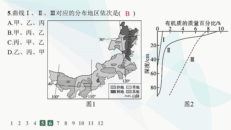 人教版高中地理必修第一册第5章植被与土壤第2节土壤分层作业课件07