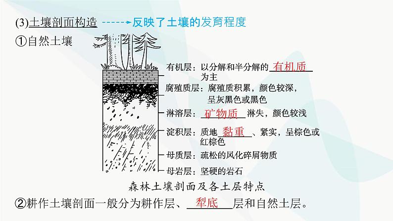 人教版高中地理必修第一册第5章植被与土壤第2节土壤课件07