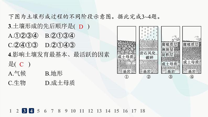 湘教版高中地理必修第一册第五章地球上的植被与土壤第2节土壤的形成分层作业课件第5页