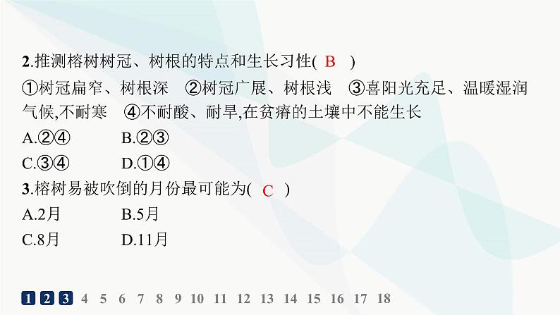 湘教版高中地理必修第一册第五章地球上的植被与土壤素养综合训练课件第3页