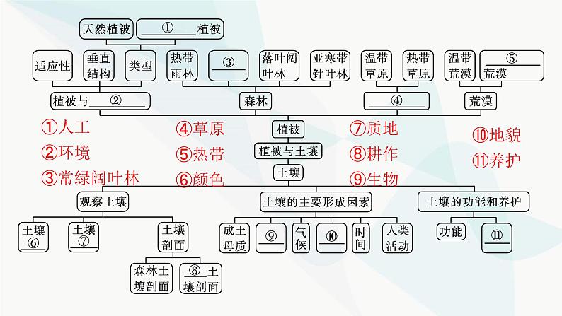 人教版高中地理必修第一册第5章植被与土壤本章整合课件04