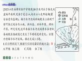 人教版高中地理必修第一册第5章植被与土壤素养综合训练课件