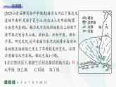 人教版高中地理必修第一册第5章植被与土壤素养综合训练课件