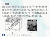 湘教版高中地理選擇性必修1第2章巖石圈與地表形態(tài)素養(yǎng)綜合訓(xùn)練課件