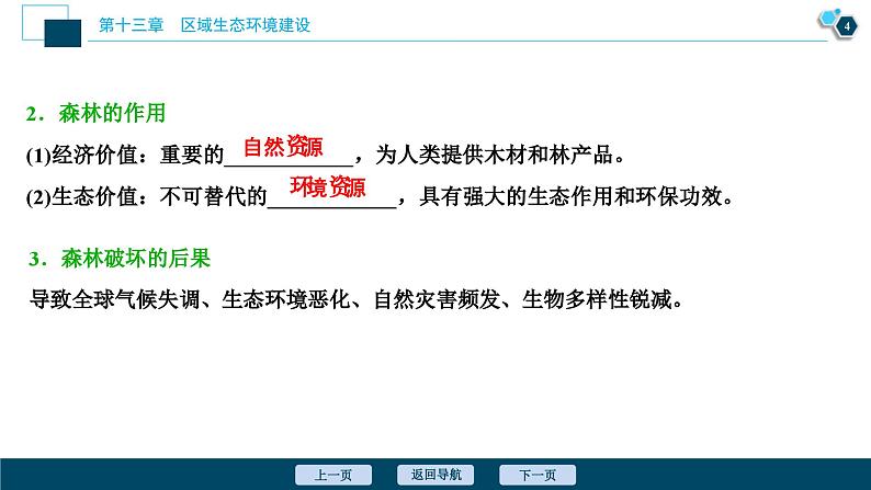 高考地理一轮考点复习课件 第28讲　森林的开发和保护——以亚马孙热带雨林为例 (含解析)05