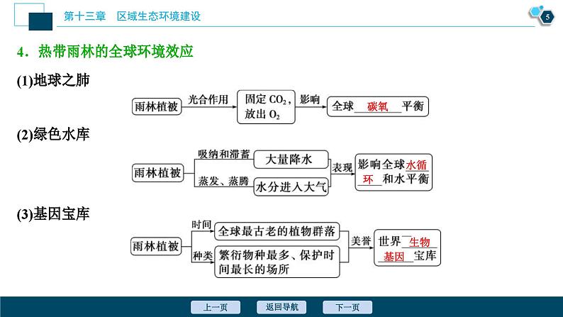 高考地理一轮考点复习课件 第28讲　森林的开发和保护——以亚马孙热带雨林为例 (含解析)06