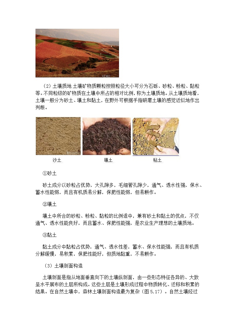 高中地理 （人教版2019） 必修第一册5.2 土壤 教案03
